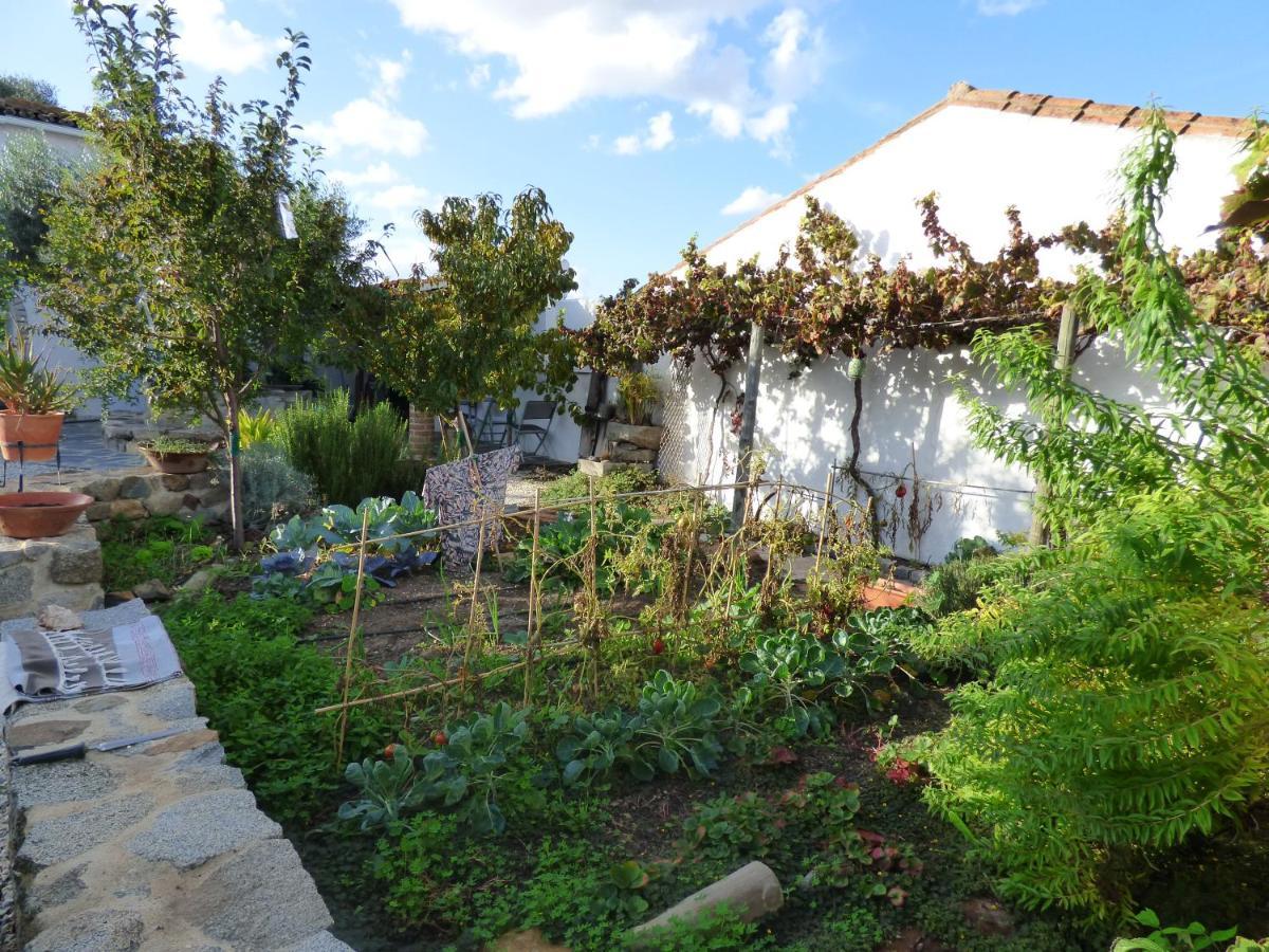 Bed and Breakfast Solar Da Cumeada Reguengos de Monsaraz Exterior foto